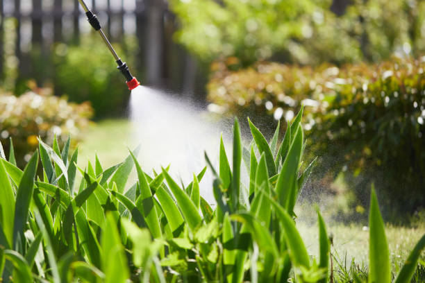 24/7 Emergency Ant Control experts in Covington, LA